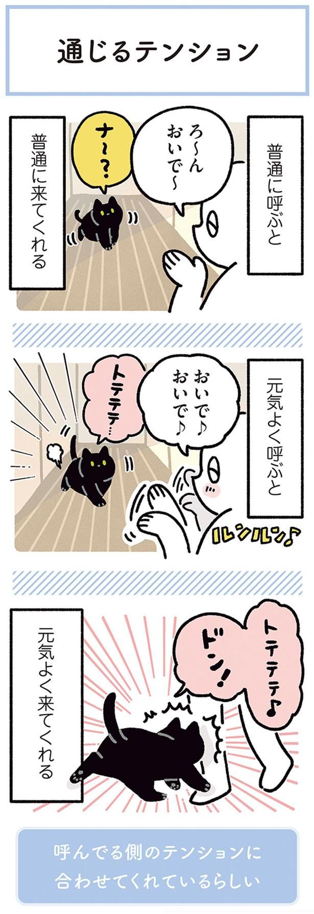 おいで～ （C）AKR／KADOKAWA