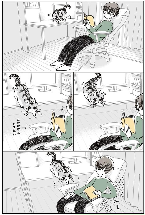 ひじかけにのりたい （C）キュルZ／KADOKAWA