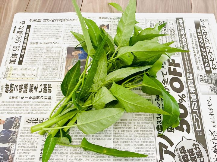 【家庭菜園は“徒歩一歩”で無理なく】初心者でも簡単な中華の野菜「1ヶ月後にはモサモサ」