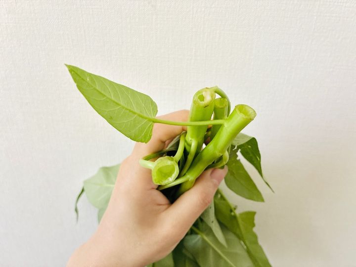 【家庭菜園は“徒歩一歩”で無理なく】初心者でも簡単な中華の野菜「1ヶ月後にはモサモサ」