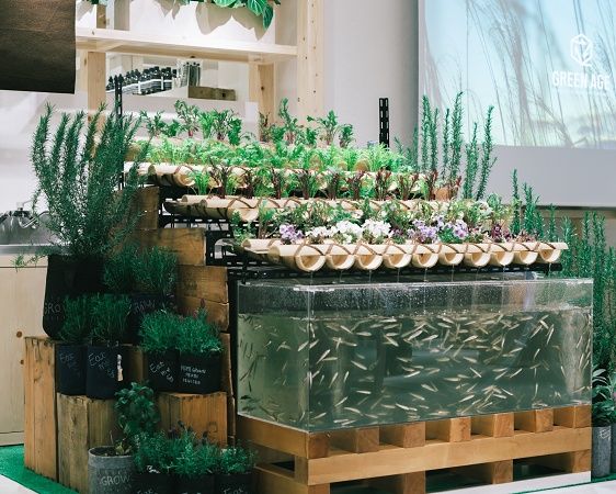 【神奈川県横浜市】魚と野菜と人がともに生きる、共生型コミュニティ農園「ともいきファーム」開園！