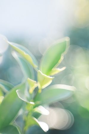【神奈川県横浜市】魚と野菜と人がともに生きる、共生型コミュニティ農園「ともいきファーム」開園！