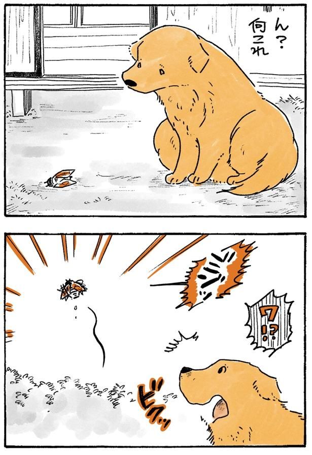 何これ （C）佐倉イサミ／KADOKAWA