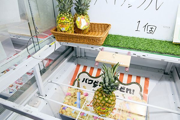【神奈川県大和市】年間100万人来店のクレーンゲーム店・Benex大和店がリニューアルOPEN！