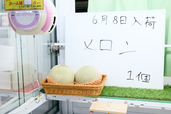 【神奈川県大和市】年間100万人来店のクレーンゲーム店・Benex大和店がリニューアルOPEN！