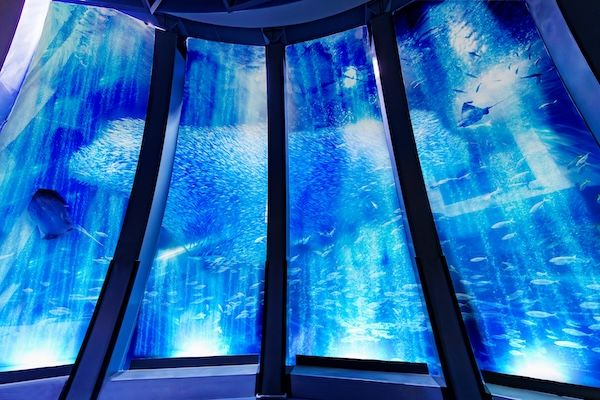 【神奈川県横浜市】横浜・八景島シーパラダイスの夏休み企画。マツケンまみれまみれ島 夏の陣がスタート