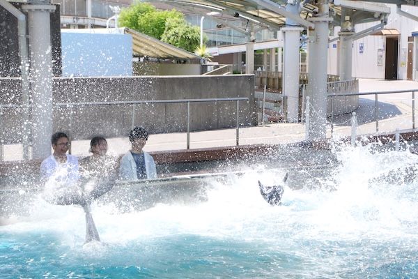 【神奈川県横浜市】横浜・八景島シーパラダイスの夏休み企画。マツケンまみれまみれ島 夏の陣がスタート