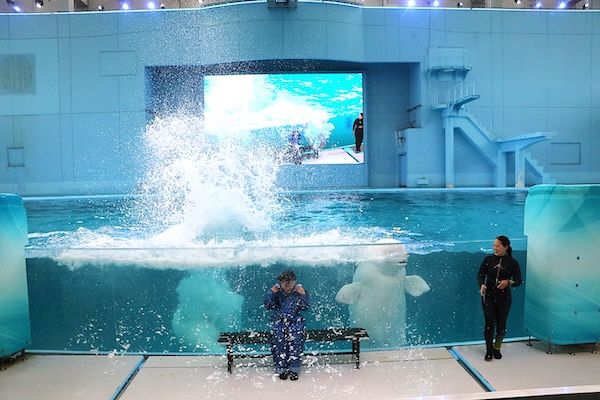【神奈川県横浜市】横浜・八景島シーパラダイスの夏休み企画。マツケンまみれまみれ島 夏の陣がスタート