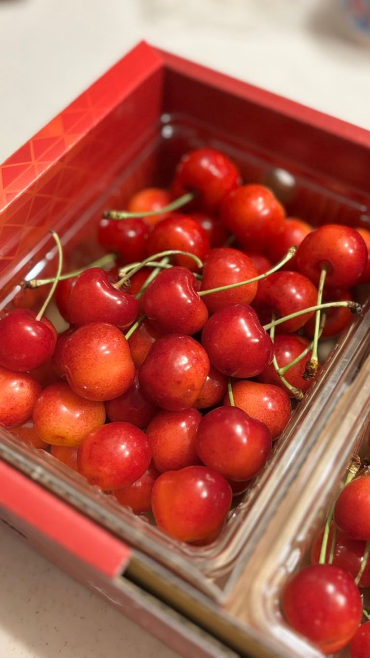 山形のさくらんぼ「紅秀峰」