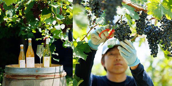 【神奈川県横浜市】夏の夜を彩るナイトイベント「北仲夜祭」開催！夕涼みとともに縁日やマルシェを楽しむ