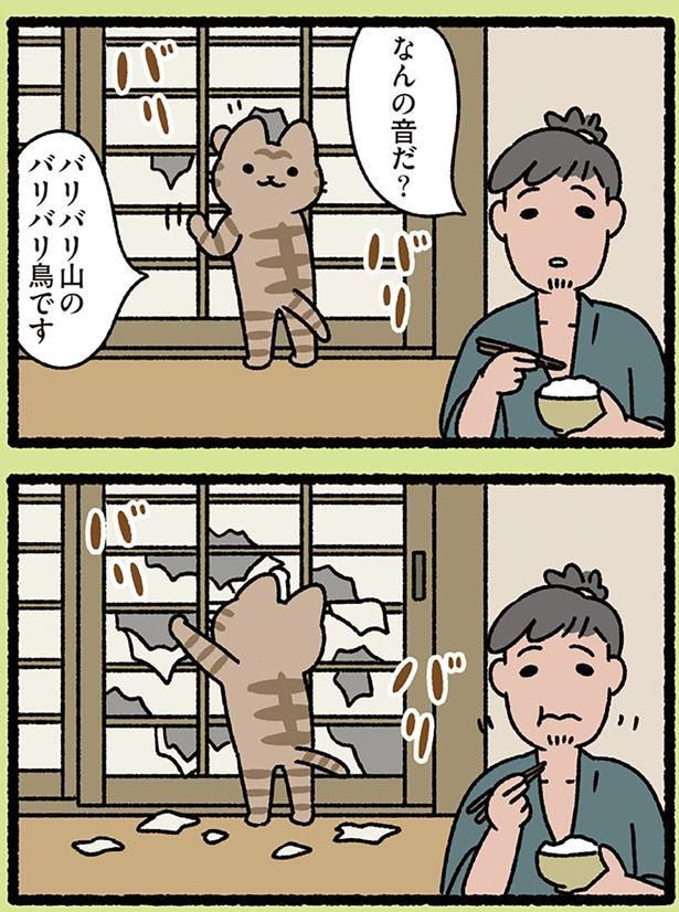 バリバリ山 （C）ぱんだにあ／KADOKAWA