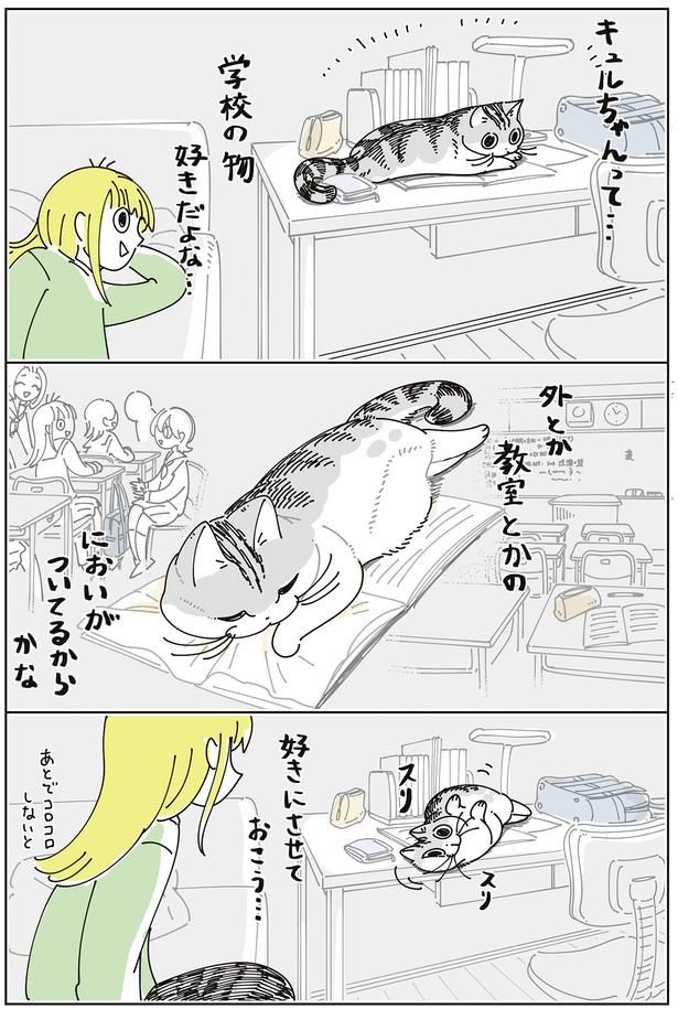 好きにさせておこう… （C）キュルZ／KADOKAWA