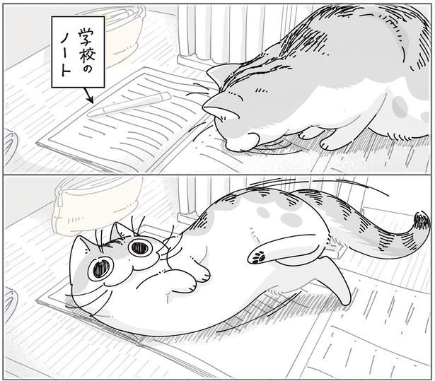 学校のノート （C）キュルZ／KADOKAWA