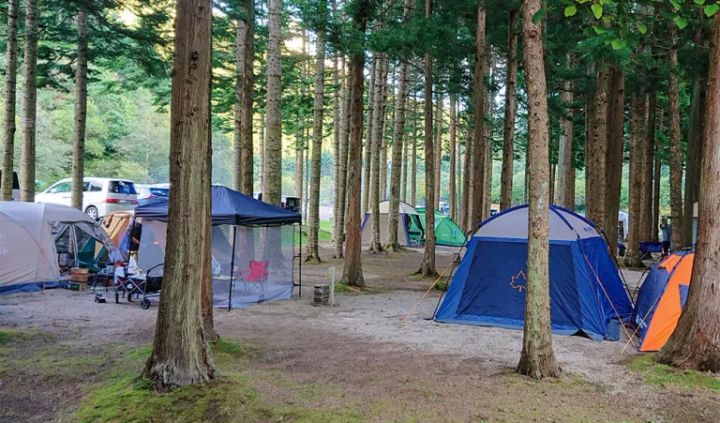 キャンピングカーが利用できるキャンプ場14選【北海道】