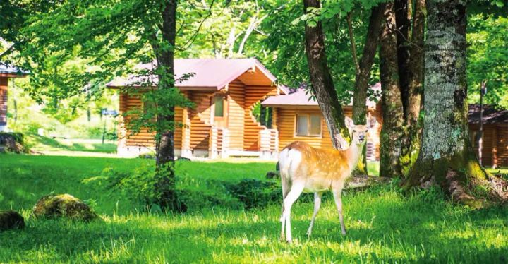 キャンピングカーが利用できるキャンプ場14選【北海道】