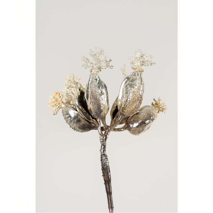 Leonor Serrano Rivas, Where We Expect to Find Flowers n3, 2025
