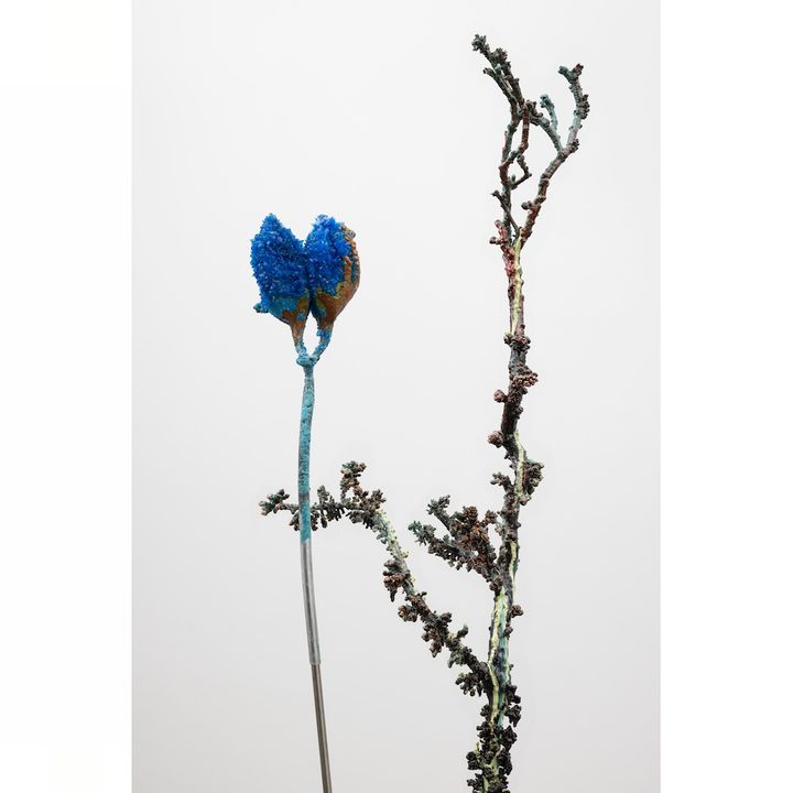 Leonor Serrano Rivas, Where We Expect to Find Flowers n17 , 2025