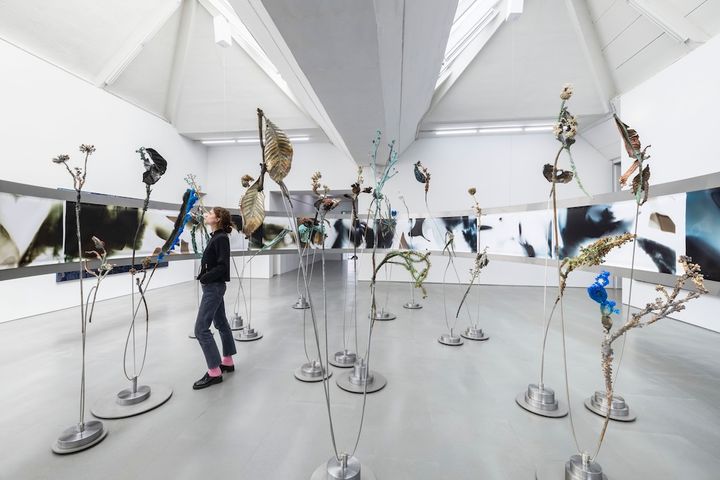 Leonor Serrano Rivas, Installation view of Here Be Dragons , 2025