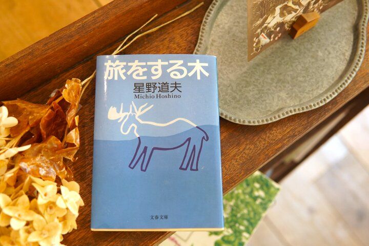 元町中華街の近くでみつけた♪ シロクマクッキーが愛らしい横浜の隠れ家「CAFE シトカ」