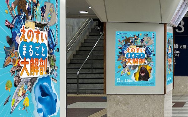 新江ノ島水族館が町田駅をジャック！“水族館の裏側”をのぞける体験型広告を展開