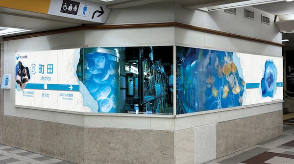 新江ノ島水族館が町田駅をジャック！“水族館の裏側”をのぞける体験型広告を展開