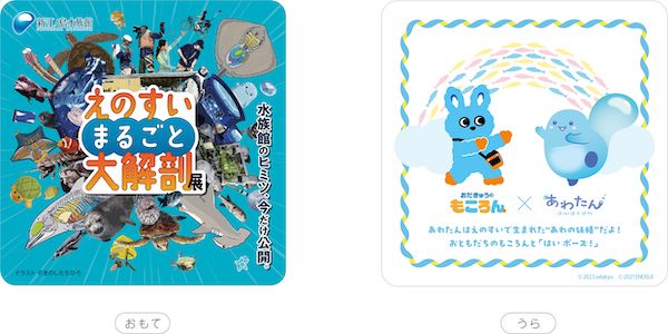 新江ノ島水族館が町田駅をジャック！“水族館の裏側”をのぞける体験型広告を展開