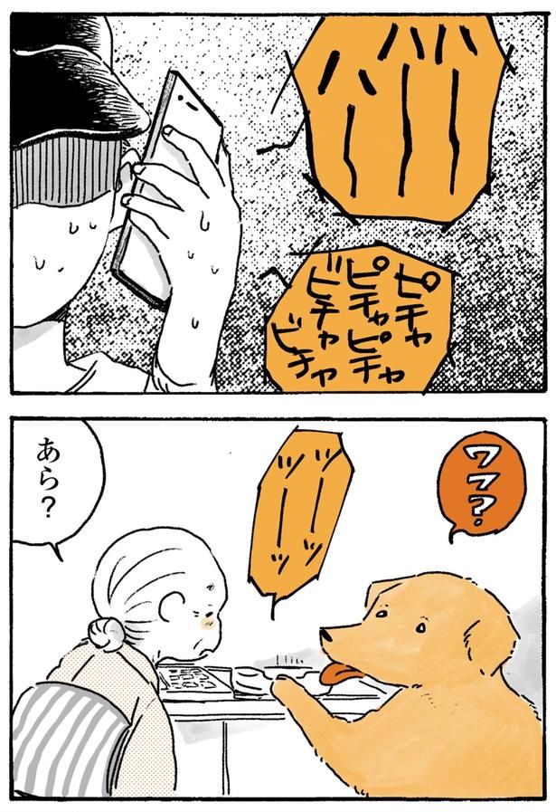 あら？ （C）佐倉イサミ／KADOKAWA
