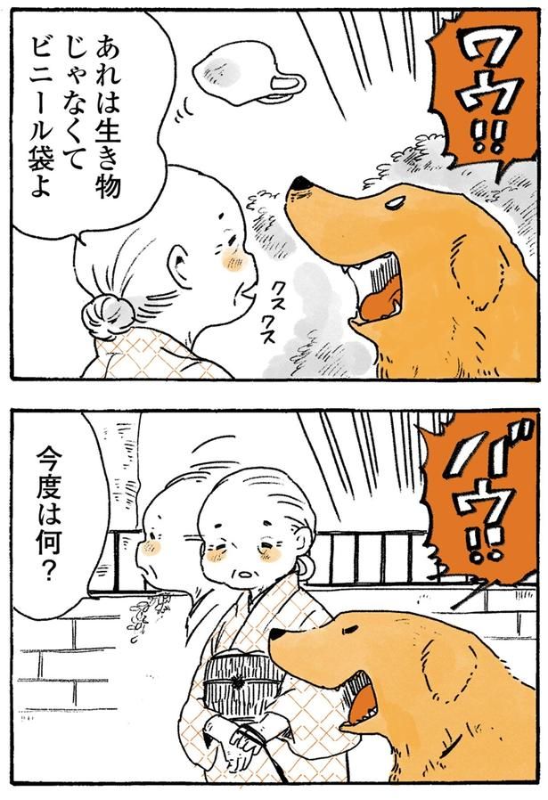 今度は何？ （C）佐倉イサミ／KADOKAWA