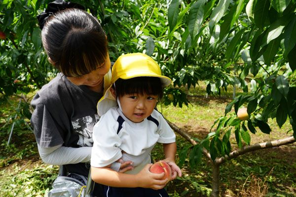 【茨城県城里町】旬の果実の収穫体験などを楽しめる「アグリーンパーク しろさと桃の丘」オープン
