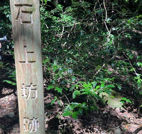 【東京都千代田区】佐賀・脊振山に伝わる「栄西茶」の講演会を開催！日本茶800年の歴史の起源に触れる