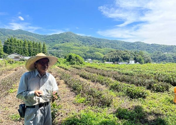 【東京都千代田区】佐賀・脊振山に伝わる「栄西茶」の講演会を開催！日本茶800年の歴史の起源に触れる
