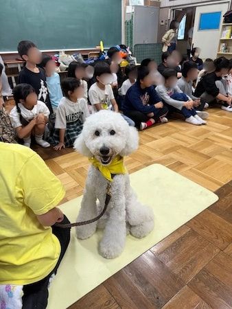 【神奈川県海老名市】ペットメーカーのトーラスが社会貢献活動の一環で小学生とセラピー犬との交流会を実施