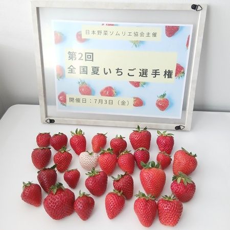【奈良県天理市】おいしい夏いちご日本一が天理市の「カジュレアの古都華『極夏ノ雫』」に決定！