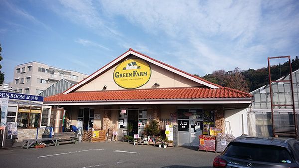【神奈川県横浜市】グリーンファーム金沢本店でトロピカルフェス開催！酸味が甘みに変化する不思議体験も