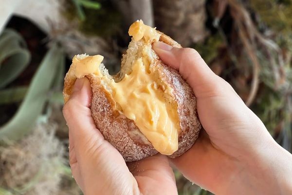 【大阪府大阪市】ボーノベーカリの生ベーグルシリーズに夏の新作登場！「自家製ソフトジェラート」も