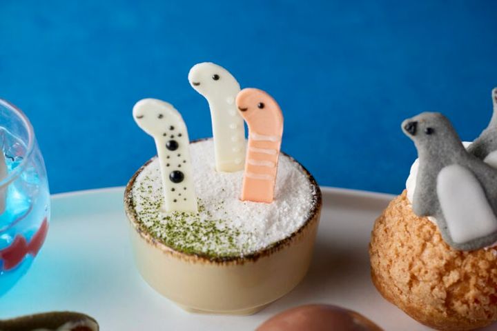 抹茶ショートケーキ with チンアナゴ・ニシキアナゴ・ホワイトスポッテッドガーデンイール