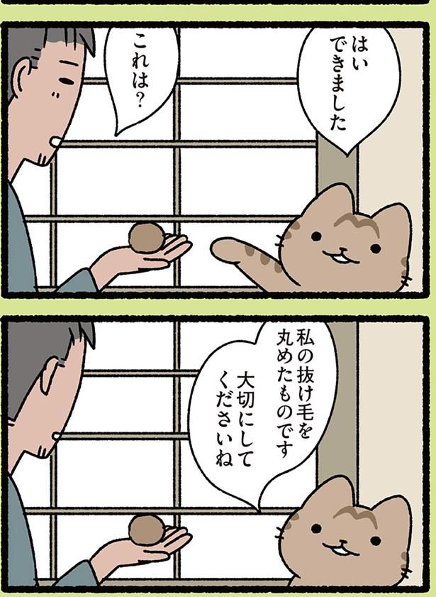 これは？ （C）ぱんだにあ／KADOKAWA