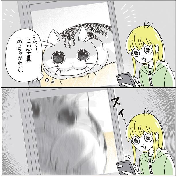スイ… （C）キュルZ／KADOKAWA