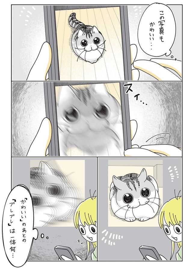一体何… （C）キュルZ／KADOKAWA