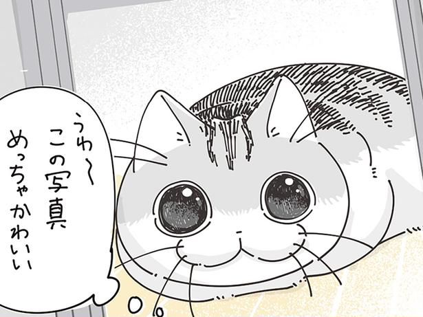 めっちゃかわいい （C）キュルZ／KADOKAWA