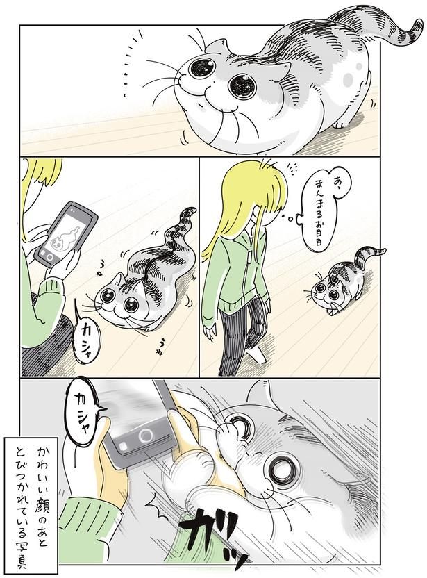 とびつかれている （C）キュルZ／KADOKAWA