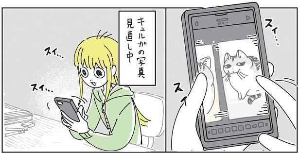 写真見直し中 （C）キュルZ／KADOKAWA