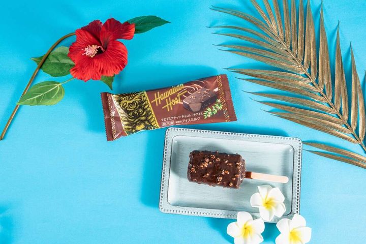 マカダミアナッツチョコレートアイスのパッケージと皿に置かれたアイスバー