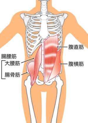 腹横筋・腸腰筋