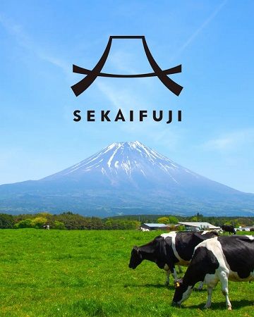 【静岡県】たこ満の新ブランド「世界ふじ」始動！第1弾ミルクスイーツ発売＆店舗リニューアルも