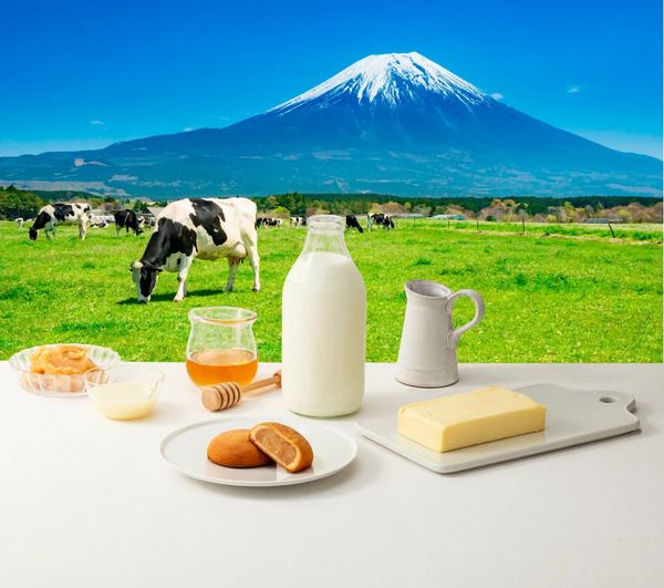 【静岡県】たこ満の新ブランド「世界ふじ」始動！第1弾ミルクスイーツ発売＆店舗リニューアルも