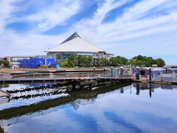 『横浜・八景島シーパラきっぷ』で4つの水族館を満喫！京急線＆シーサイドラインで行く、八景島の日帰りプランがお得すぎる