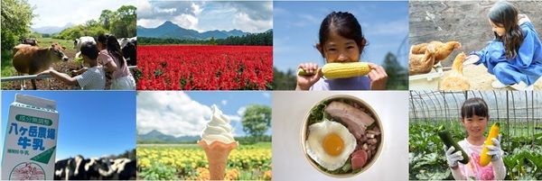【長野県原村】八ヶ岳農業大学校で「生トウモロコシ収穫体験」開始。その場でかじりつける！