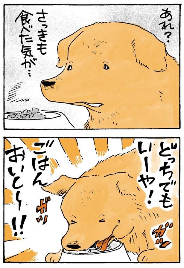 どっちでもいーや！ （C）佐倉イサミ／KADOKAWA