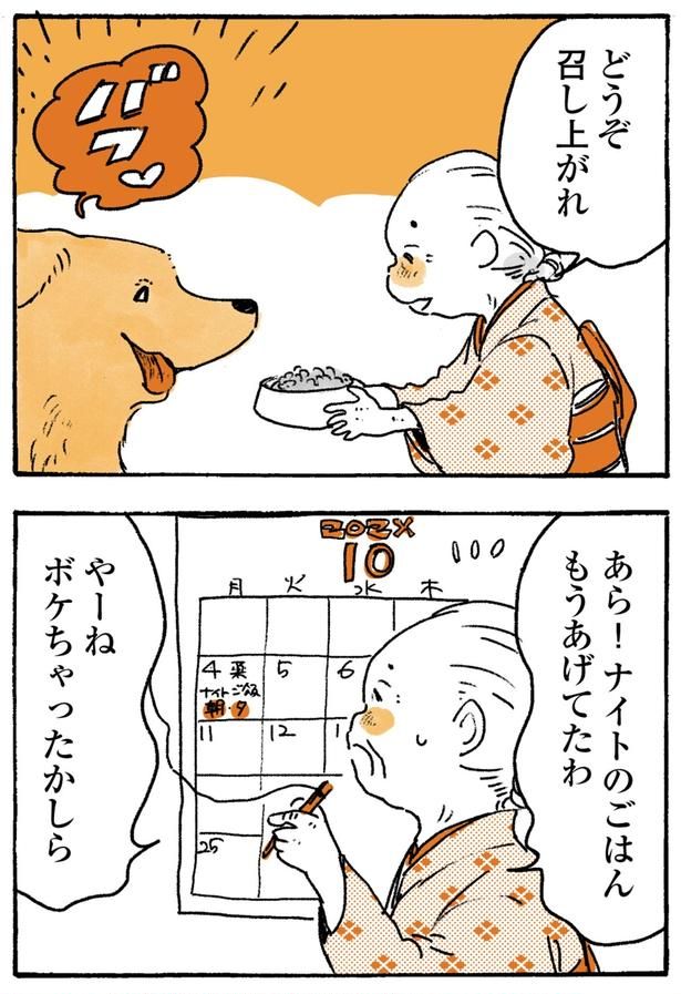 ごはんもうあげてたわ （C）佐倉イサミ／KADOKAWA